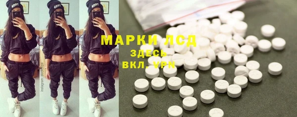 ГАЛЛЮЦИНОГЕННЫЕ ГРИБЫ Вязьма