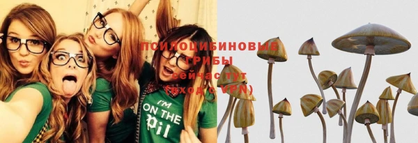 ГАЛЛЮЦИНОГЕННЫЕ ГРИБЫ Вязьма