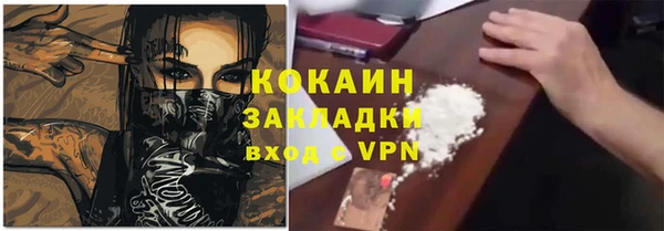 мдпв Вяземский