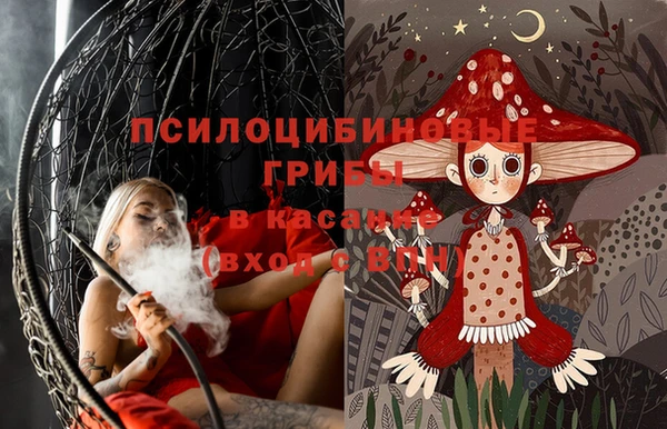ГАЛЛЮЦИНОГЕННЫЕ ГРИБЫ Вязьма