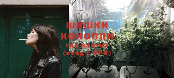 ГАЛЛЮЦИНОГЕННЫЕ ГРИБЫ Вязьма