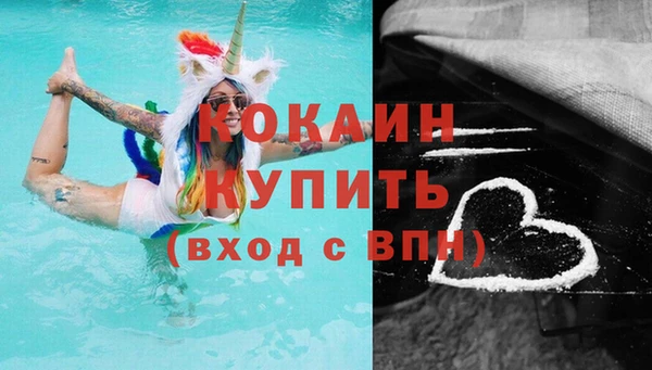 мдпв Вяземский