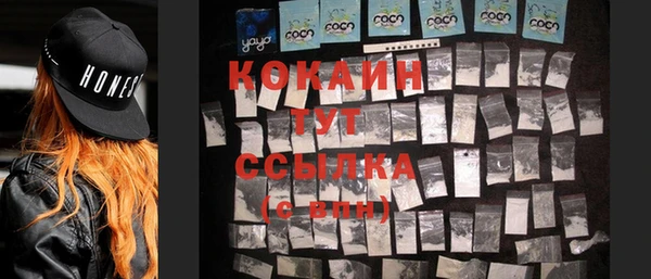 ГАЛЛЮЦИНОГЕННЫЕ ГРИБЫ Вязьма