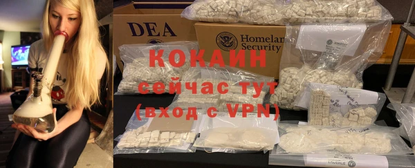 мдпв Вяземский