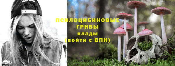 прущая мука Вязники