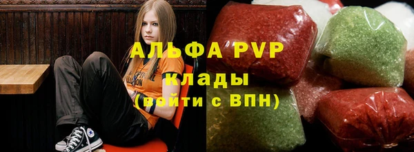 мдпв Вяземский