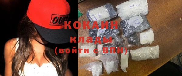 мдпв Вяземский
